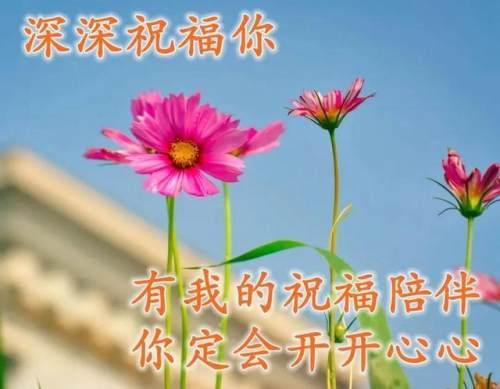 每日清新问候图，巷弄深处独特小店的温馨问候