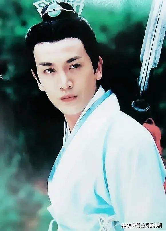 杨安演员,杨安演员，演艺之路的多元魅力与影响分析