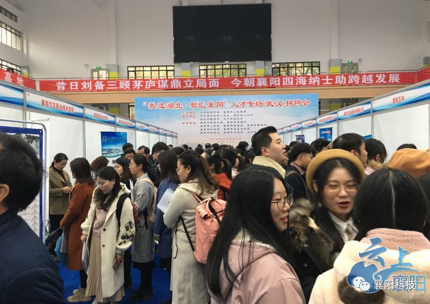 襄阳骆驼集团最新招聘信息揭秘，人才吸引与企业发展的双刃剑挑战