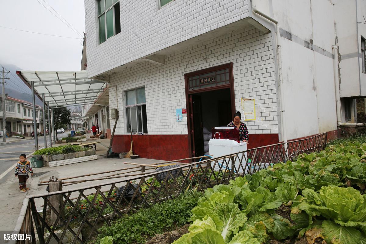 最新卖猪价，市场走势分析与预测报告发布！