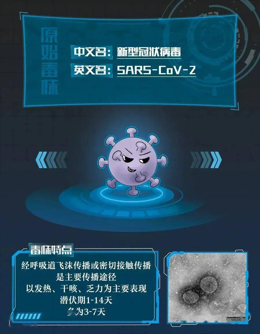 最新病毒原体深度分析与观点阐述，病毒起源、传播及影响探讨